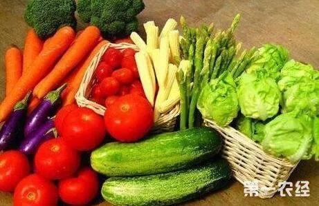 网红瓜哪里吃美食,探寻隐藏在瓜果香里的美味天堂